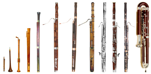 Bassoon Family